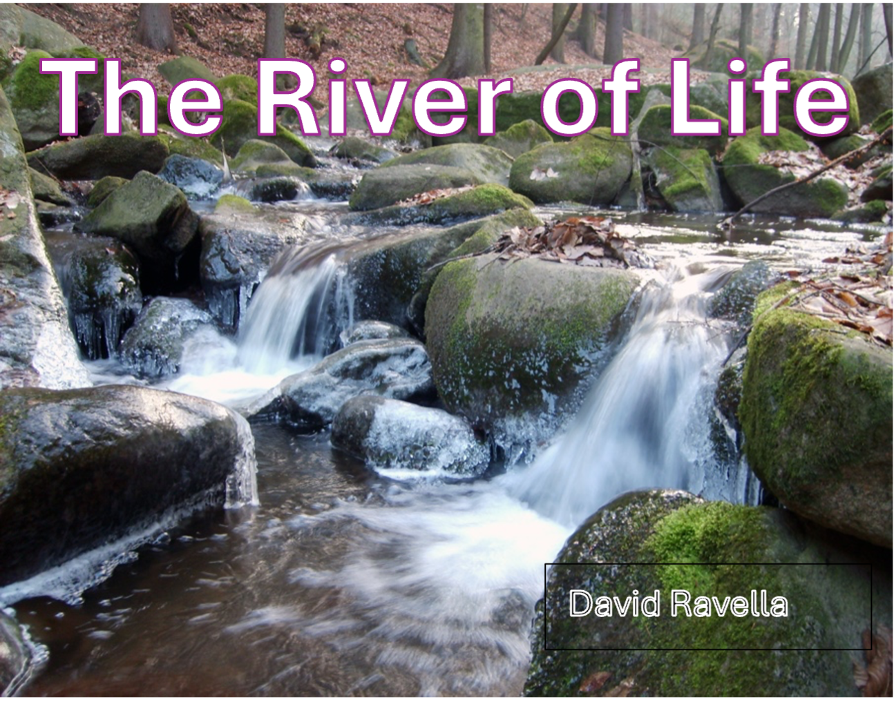 river of life
